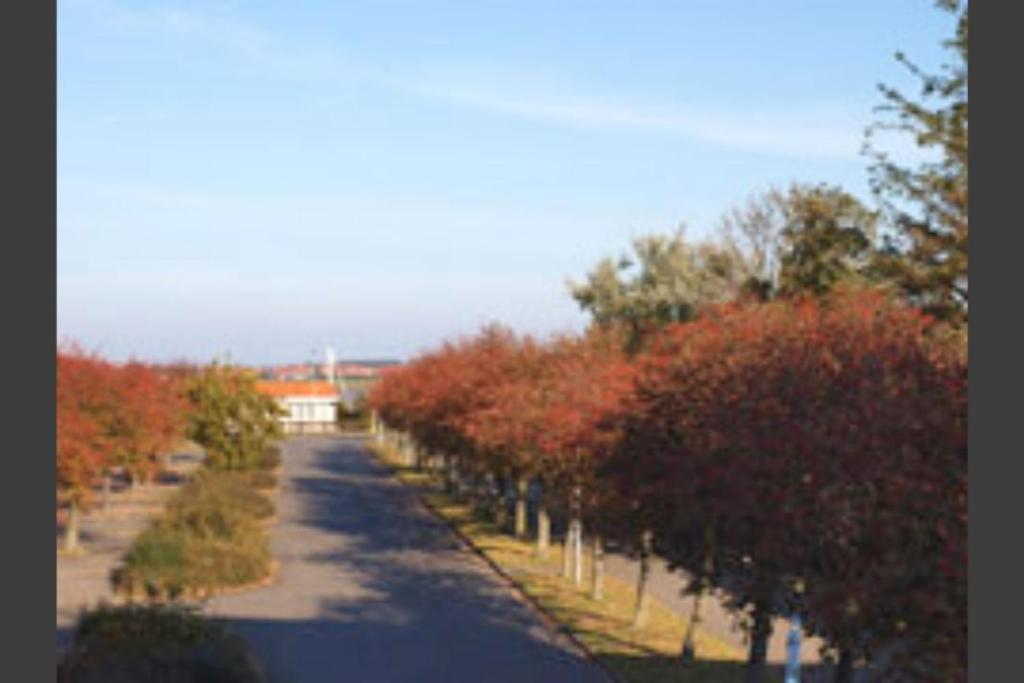 Hafenblick – mit Balkon&Strandkorb am Südstrand Fehmarn Exterior foto